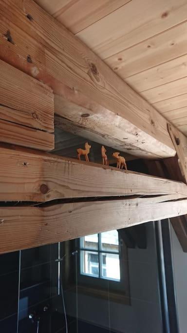Mothsgut - moderne Ferienwohnung auf dem Bauernhof im Erzgebirge Oelsnitz  Exterior foto